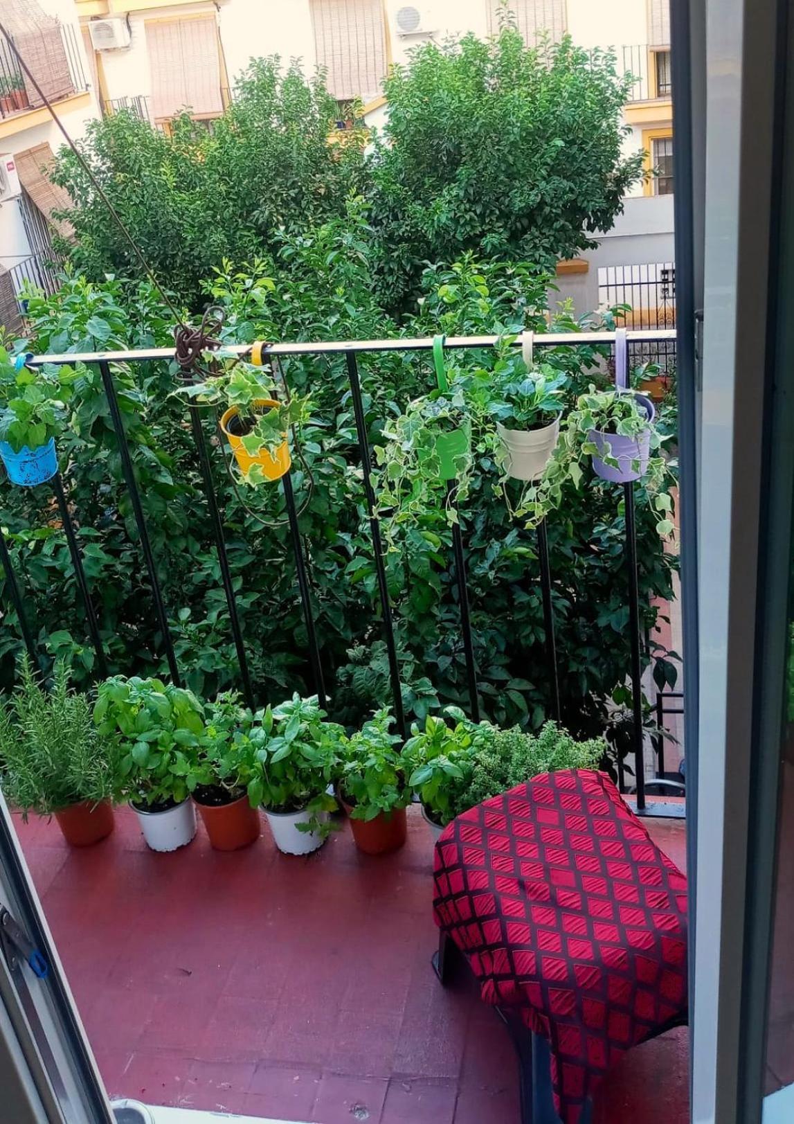 Roberta'S Guest House Севиля Екстериор снимка